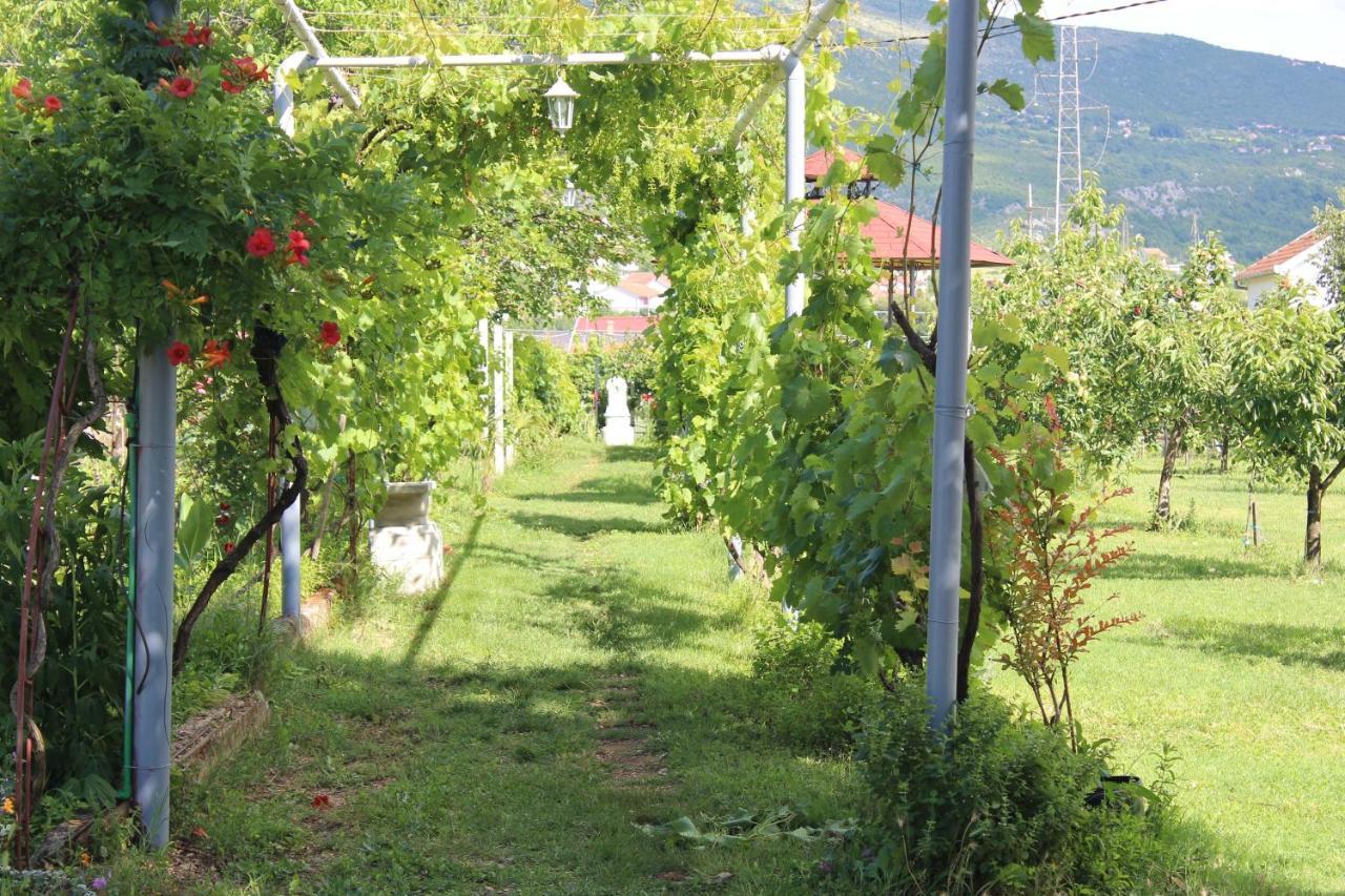 Casa Botanica Villa Blagaj Exteriör bild