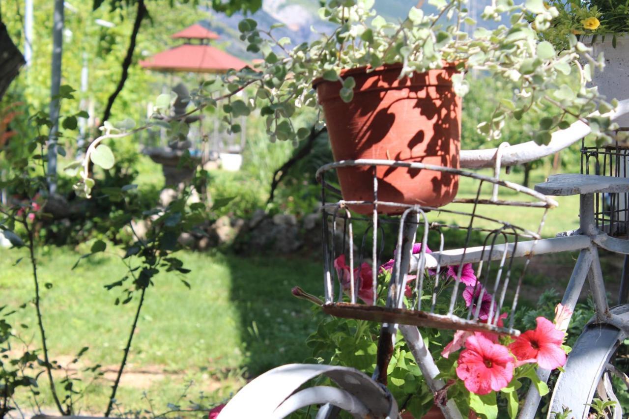 Casa Botanica Villa Blagaj Exteriör bild