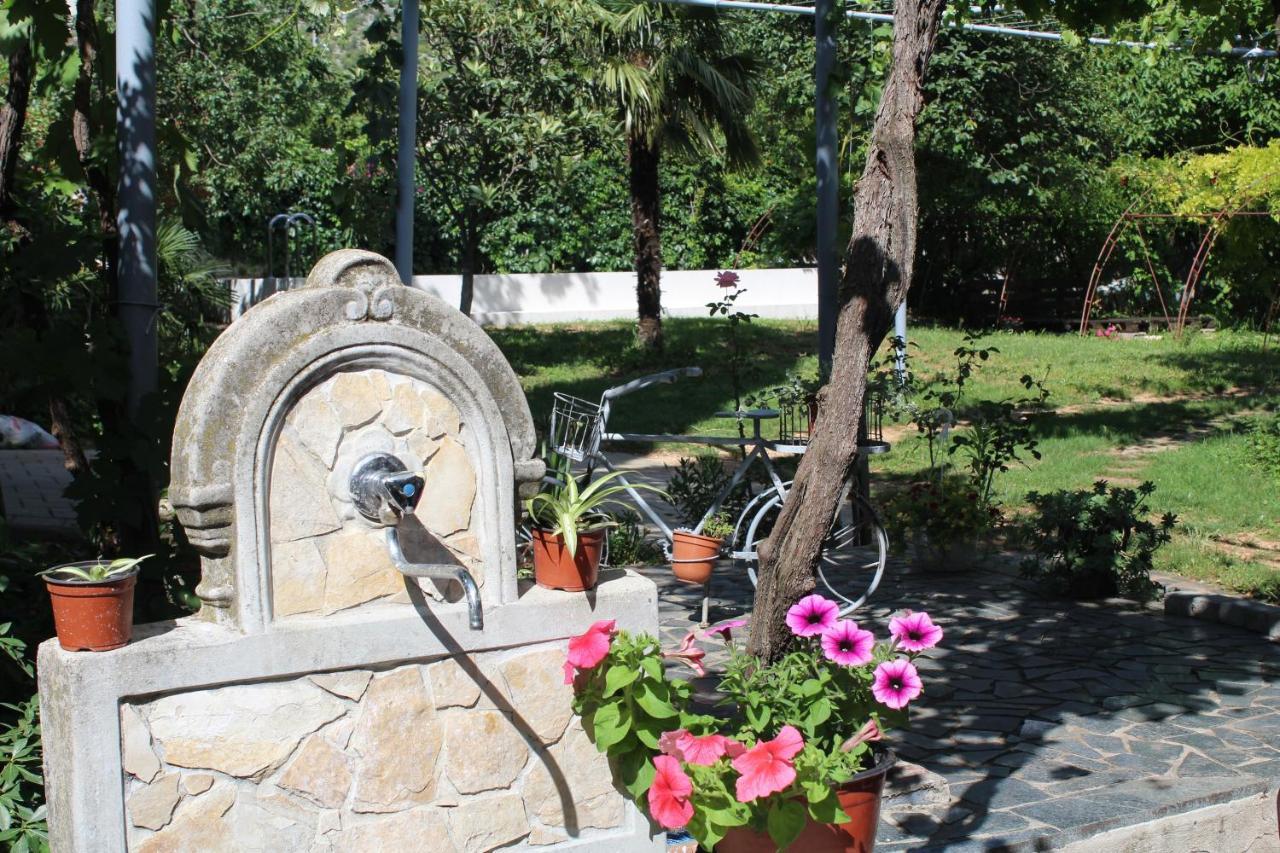 Casa Botanica Villa Blagaj Exteriör bild